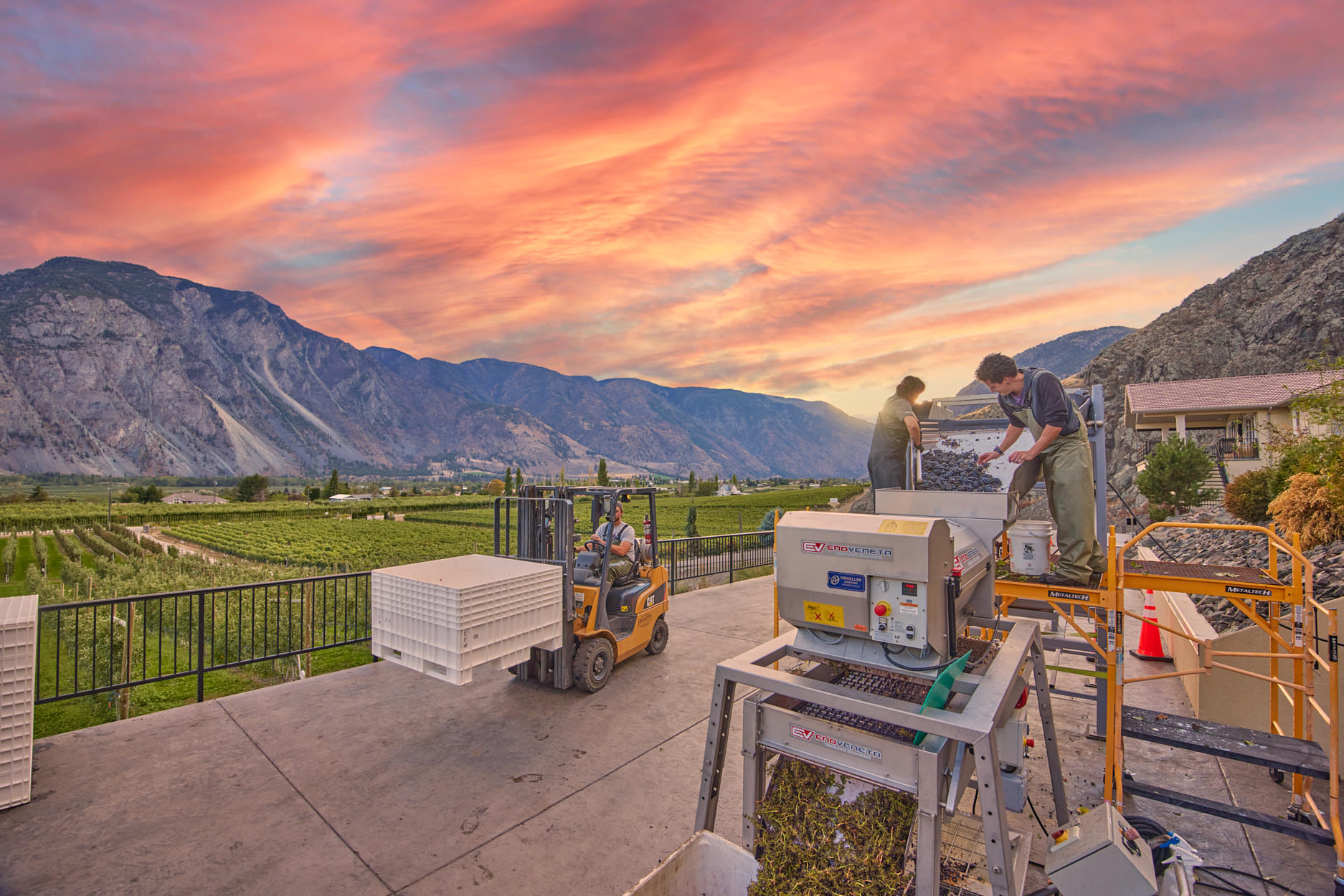 Workers at Corcelettes winery