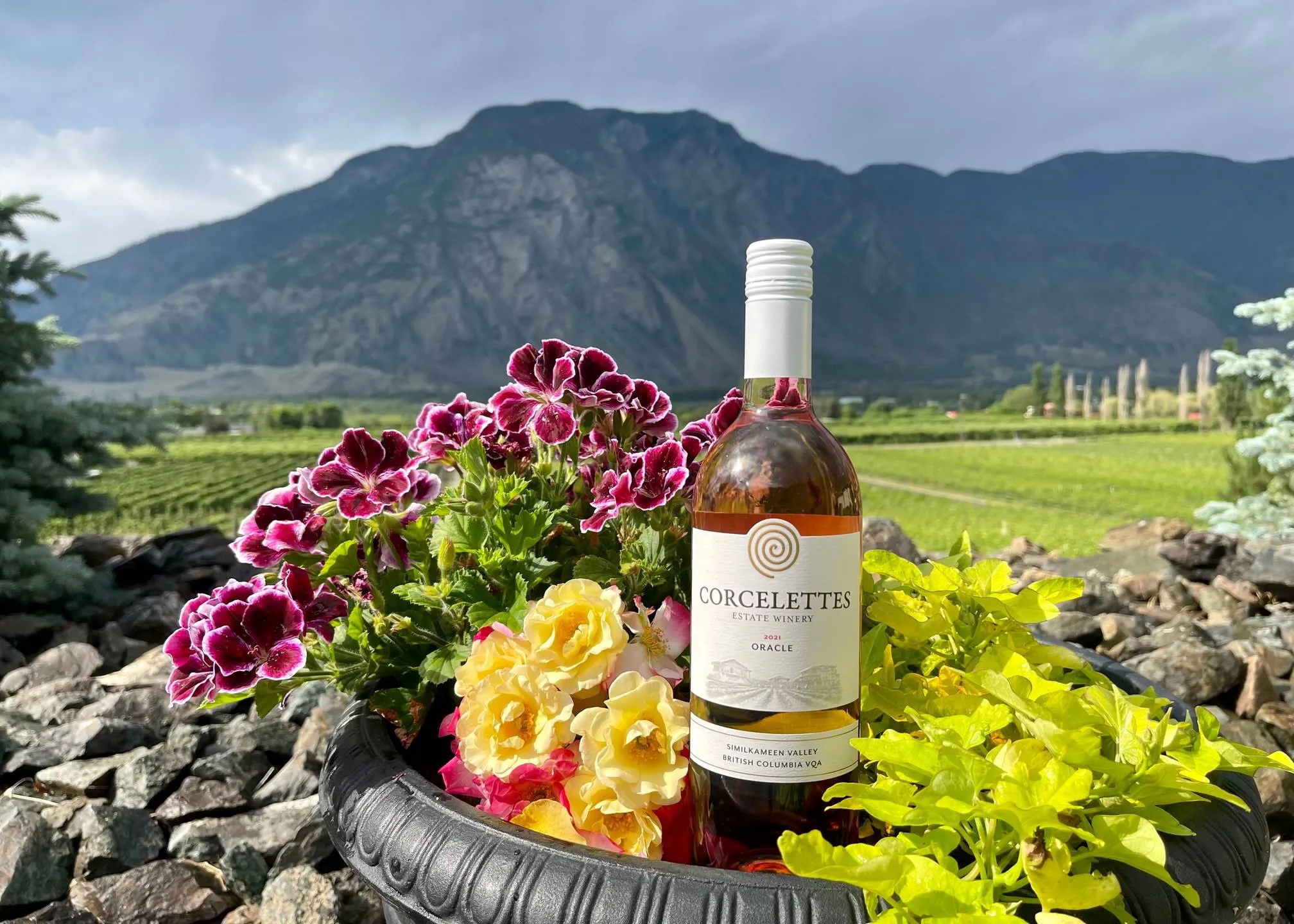 Bottle of Corcelettes Rose wine