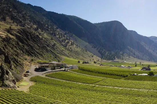 Estate Vineyard