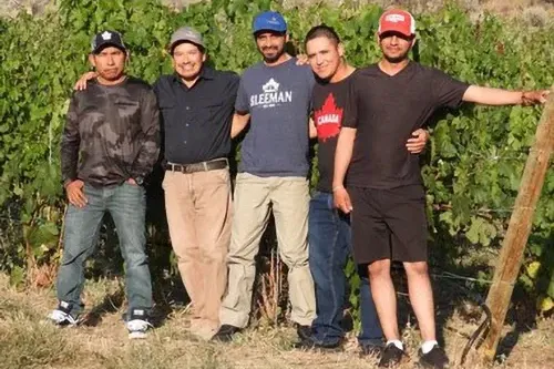 Vineyard Operations