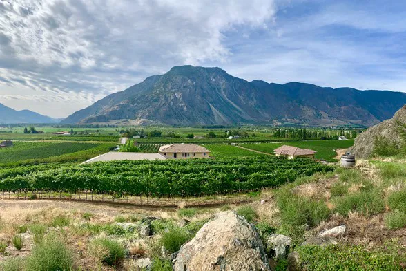 Upper Estate Block - Petit Verdot